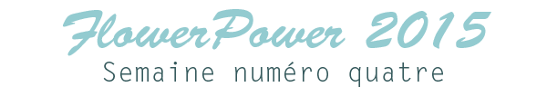 FlowerPower4